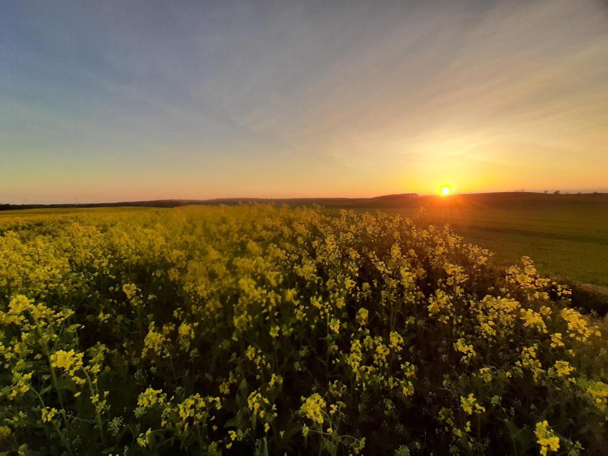 Noclegi Zdzislaw Sieradzki Zbiczno Экстерьер фото