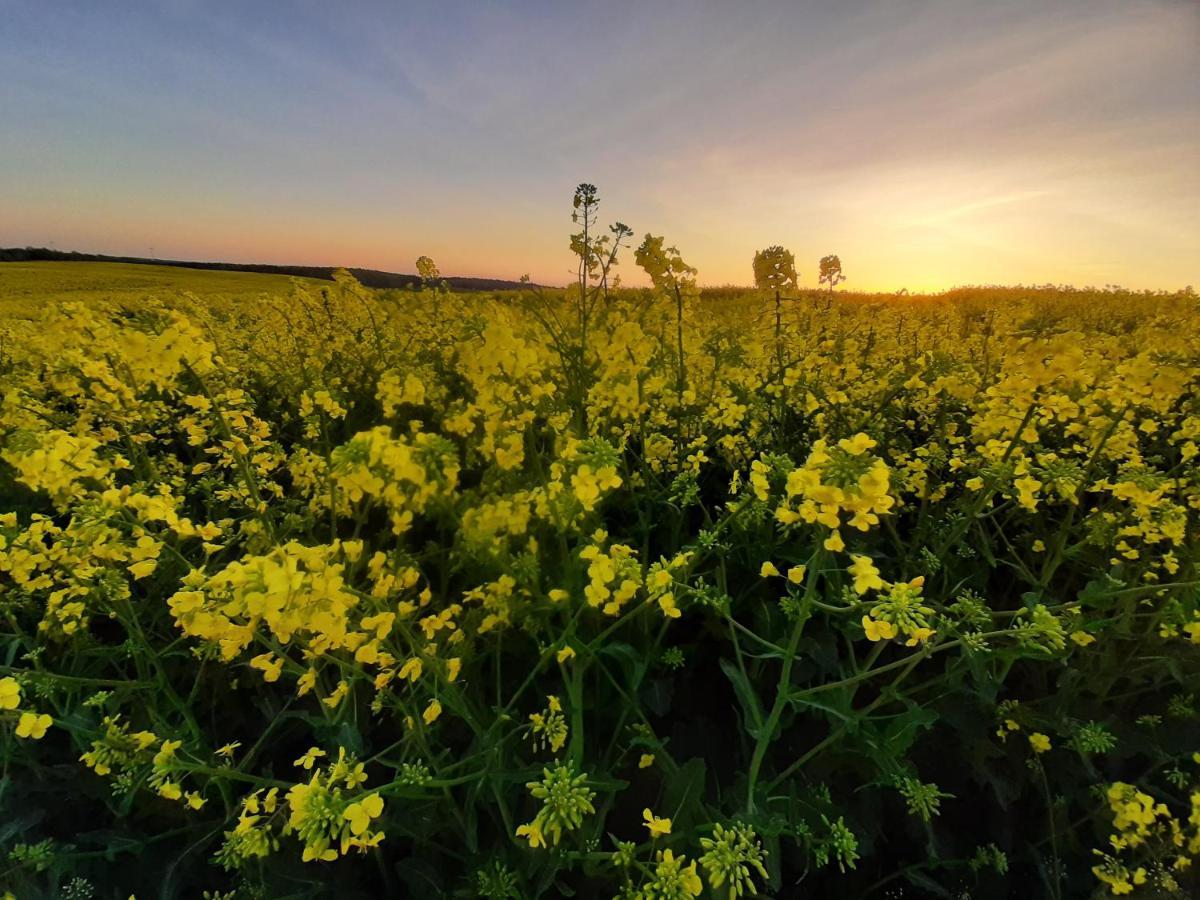 Noclegi Zdzislaw Sieradzki Zbiczno Экстерьер фото